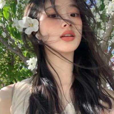 蜘蛛与郁金香